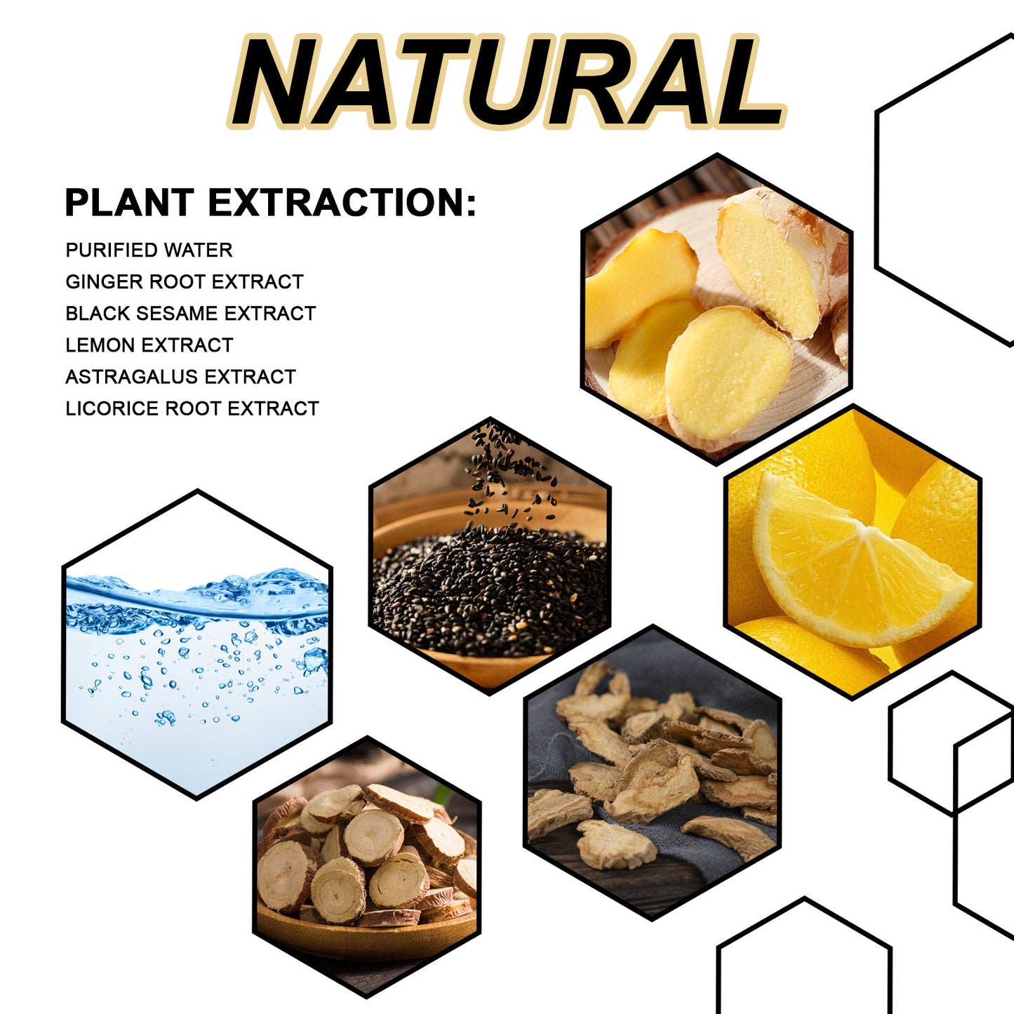 Densifyer Root Activator Shampoo